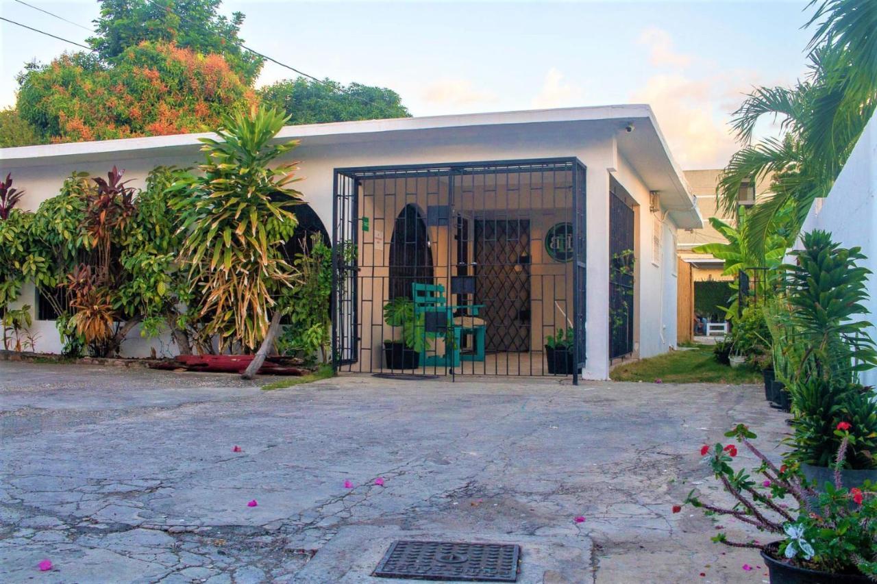 Eventuality B&B New Kingston Eksteriør bilde